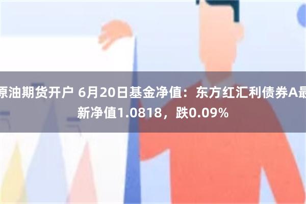 原油期货开户 6月20日基金净值：东方红汇利债券A最新净值1.0818，跌0.09%