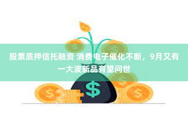 股票质押信托融资 消费电子催化不断，9月又有一大波新品有望问世