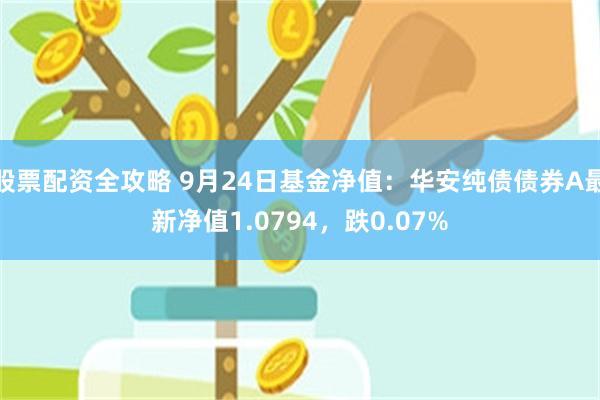 股票配资全攻略 9月24日基金净值：华安纯债债券A最新净值1.0794，跌0.07%